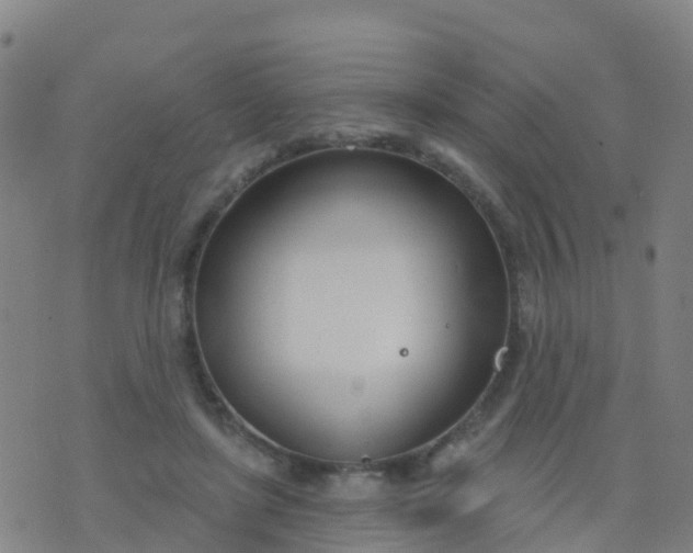 X0000074320451200609082011