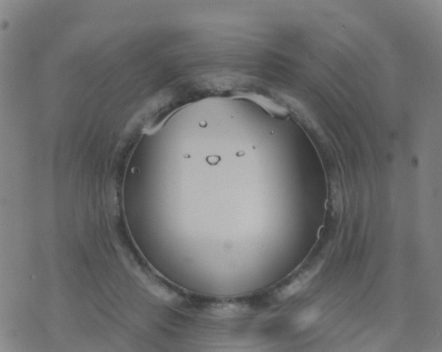 X0000074320453200609082011