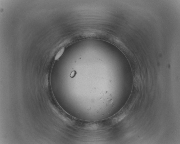 X0000074320454200609082011