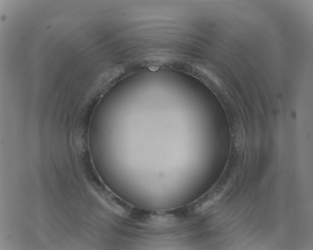 X0000074320455200609082011