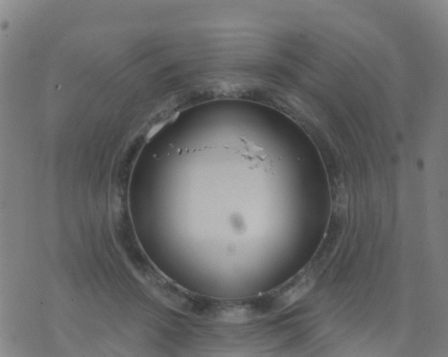 X0000074320456200609082011