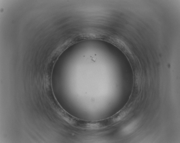 X0000074320457200609082011