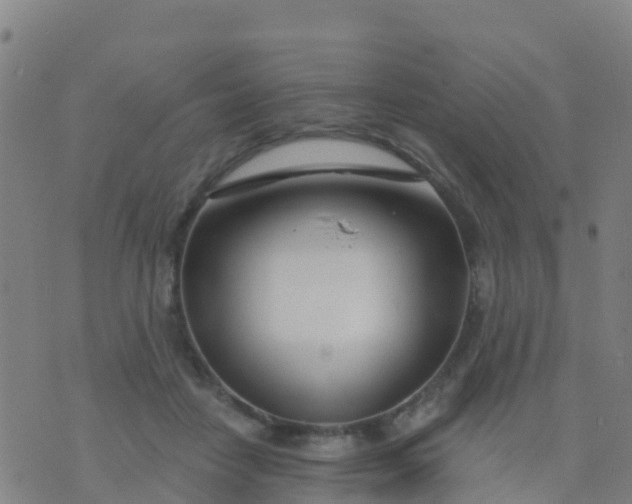 X0000074320458200609082011