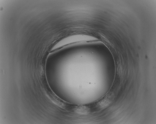 X0000074320459200609082011