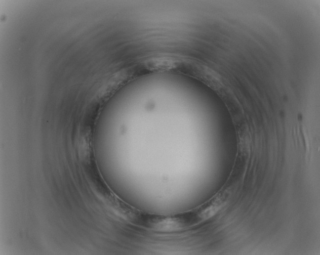 X0000074320460200609082011