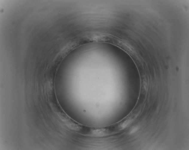 X0000074320461200609082011