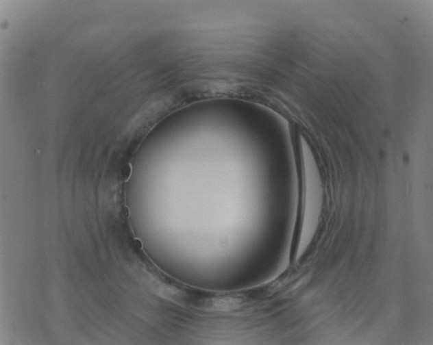 X0000074320462200609082011