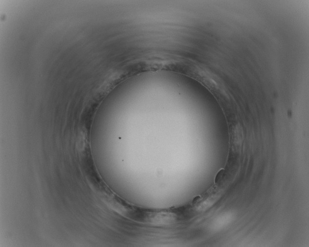 X0000074320463200609082011