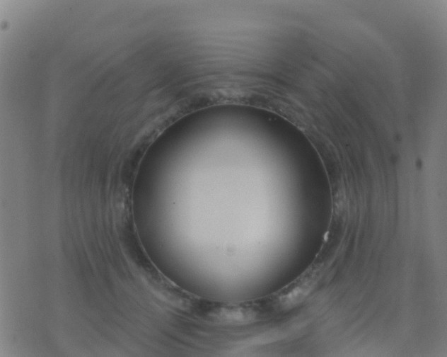 X0000074320464200609082011