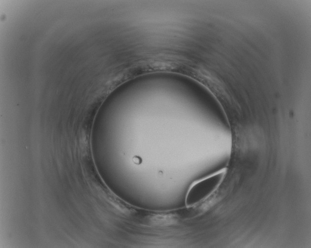 X0000074320465200609082011