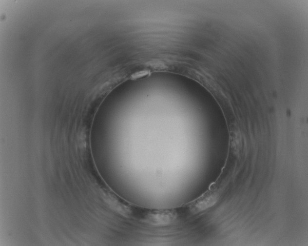 X0000074320466200609082011