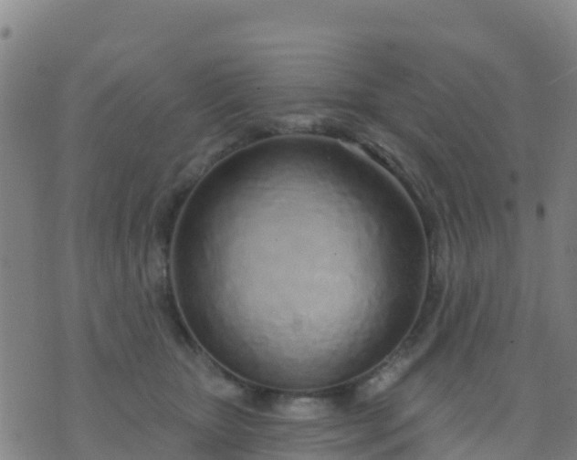 X0000074320467200609082011