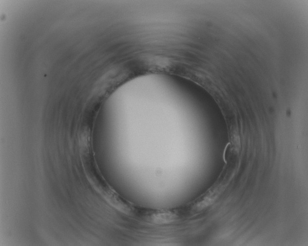 X0000074320468200609082011