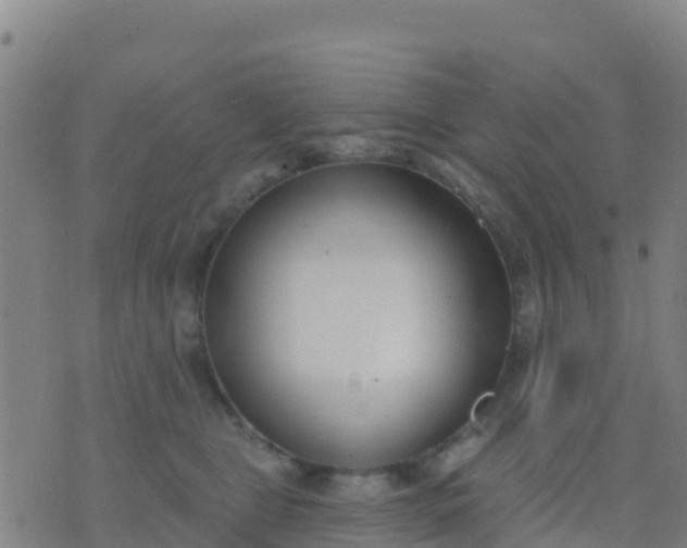 X0000074320469200609082011