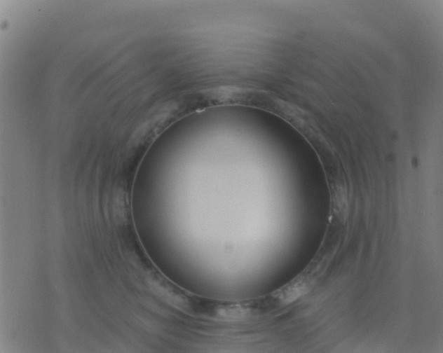 X0000074320470200609082011