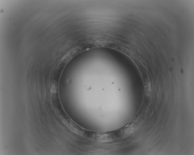 X0000074320472200609082011