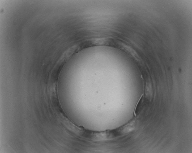 X0000074320473200609082012