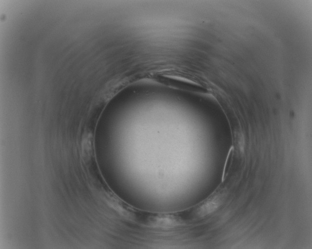 X0000074320475200609082012