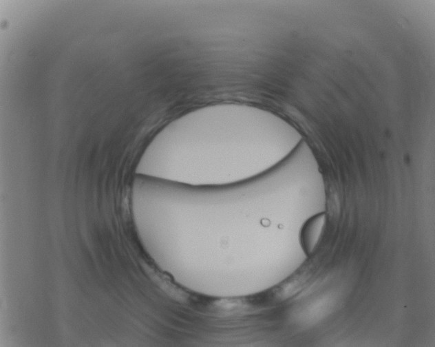 X0000074320477200609082012