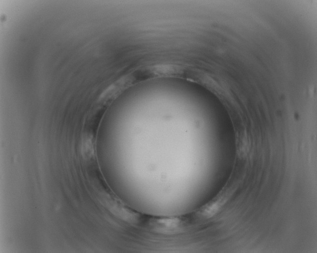 X0000074320478200609082012