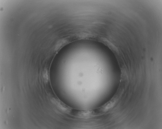 X0000074320479200609082012