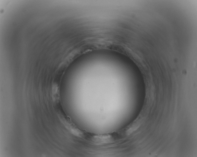 X0000074320480200609082012