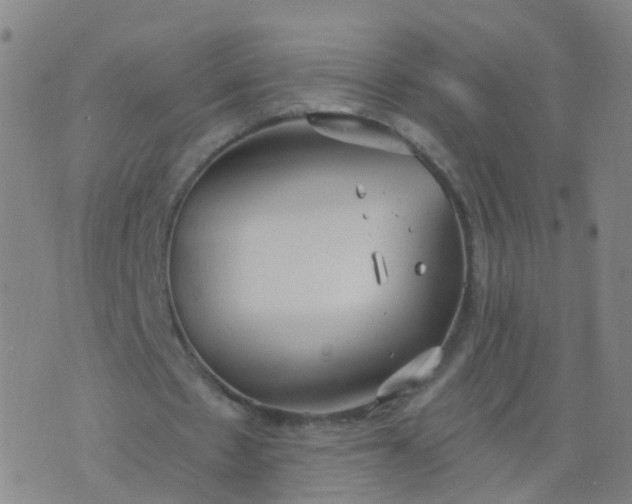 X0000074320481200609082011