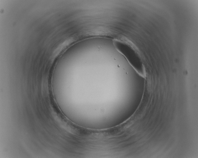 X0000074320482200609082011