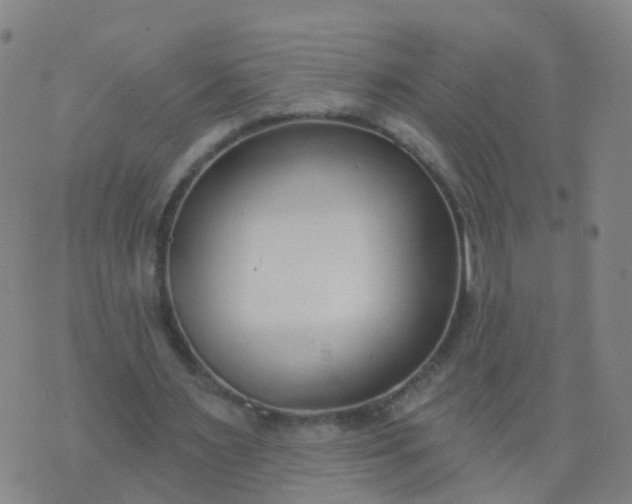 X0000074320483200609082011