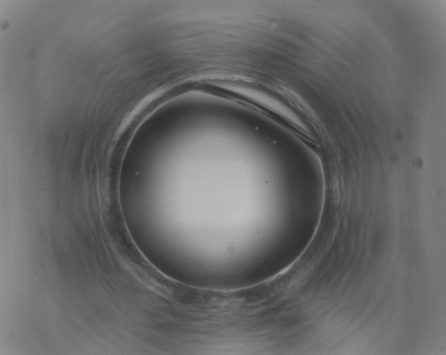 X0000074320484200609082011