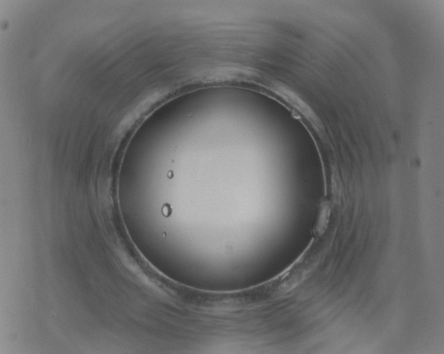 X0000074320485200609082011