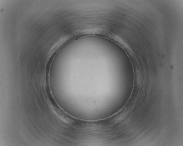 X0000074320486200609082011