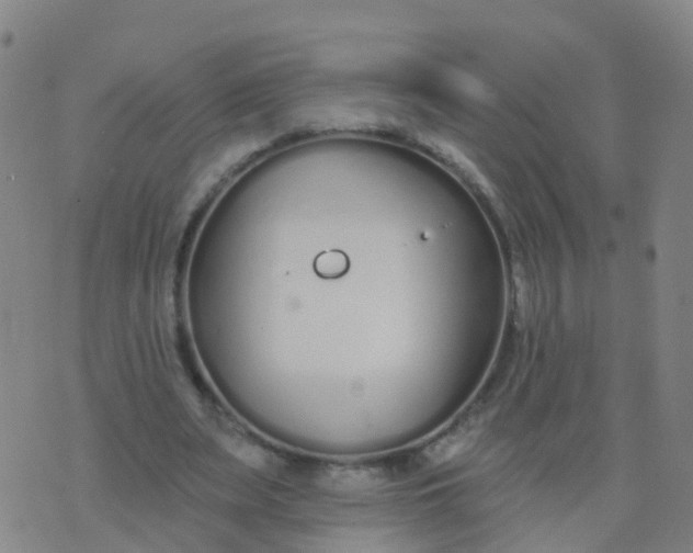 X0000074320487200609082011