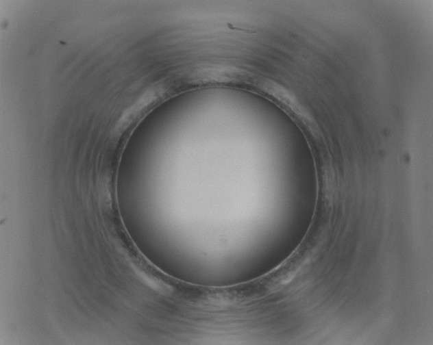 X0000074320489200609082011