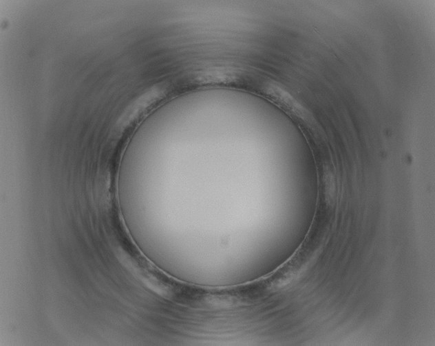 X0000074320490200609082011