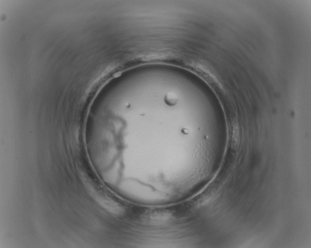 X0000074320491200609082011