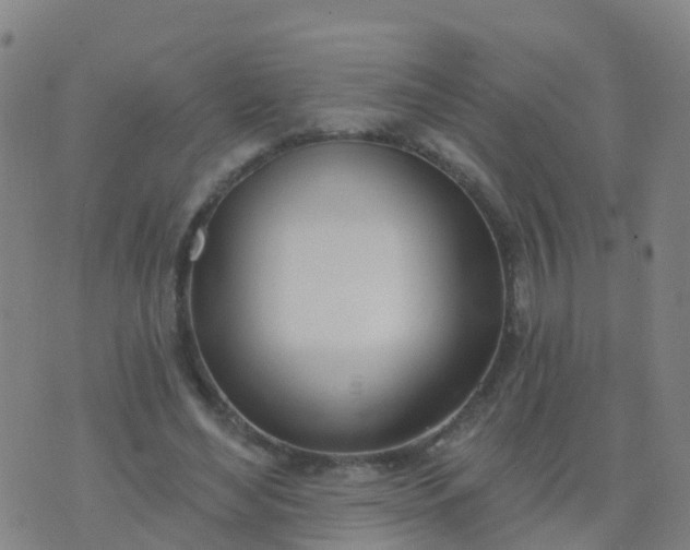 X0000074320492200609082011