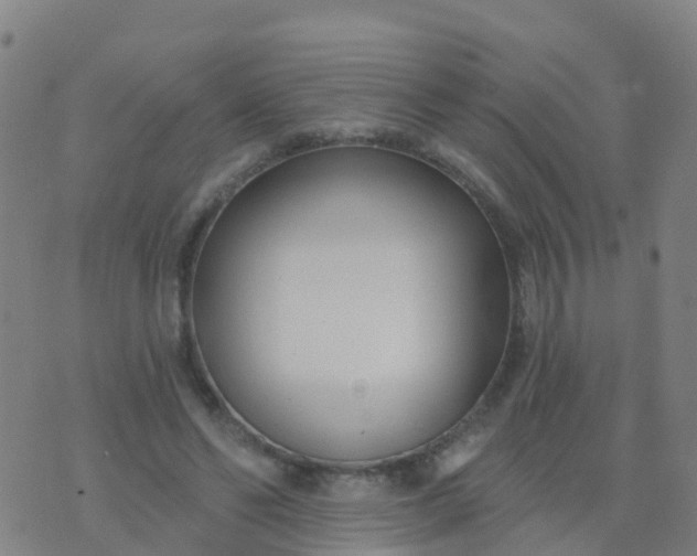 X0000074320494200609082011