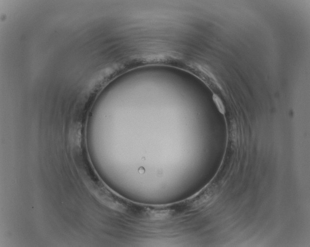 X0000074320495200609082011