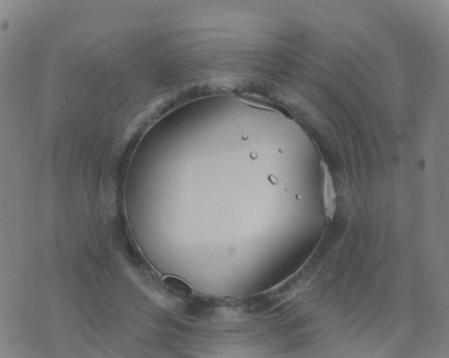 X0000074320496200609082011