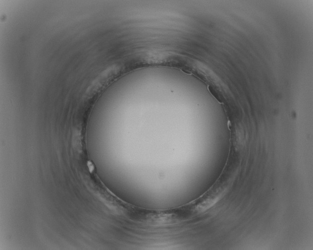 X0000074320497200609082011