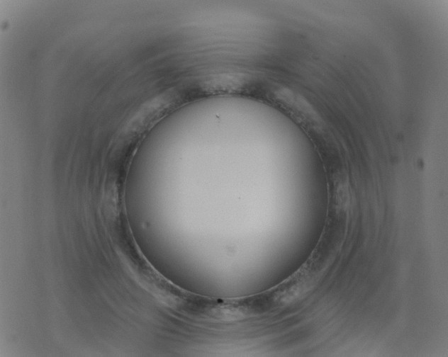 X0000074320498200609082011