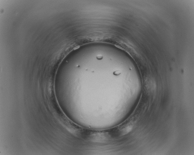 X0000074320499200609082011