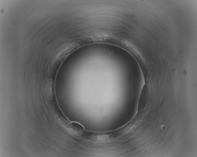 X0000074320501200609082010