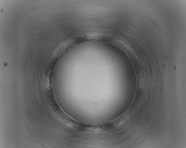 X0000074320502200609082010