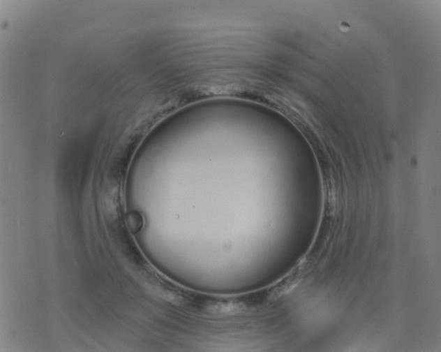 X0000074320503200609082010