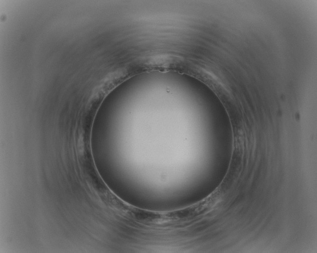 X0000074320504200609082010