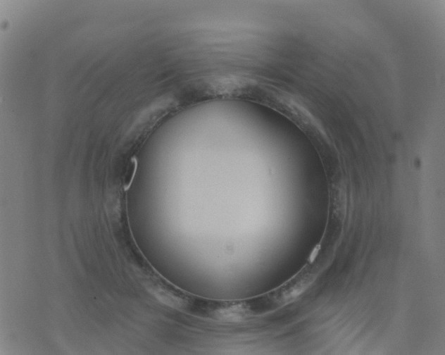 X0000074320505200609082010