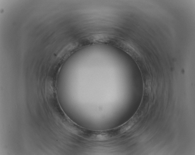 X0000074320506200609082010