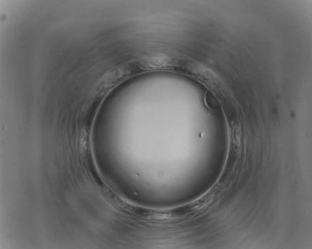 X0000074320507200609082010